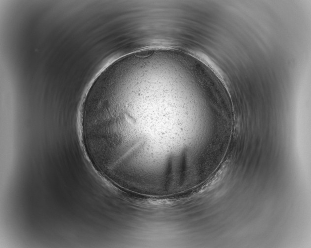 X0000093421243200710260952