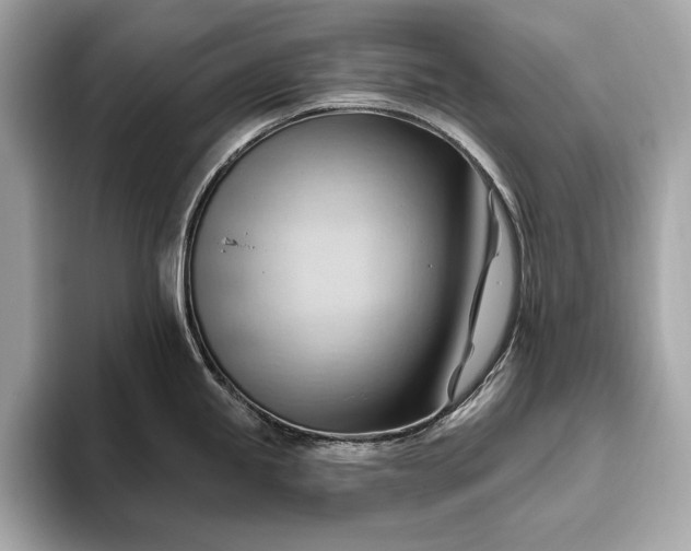 X0000093421245200710260952