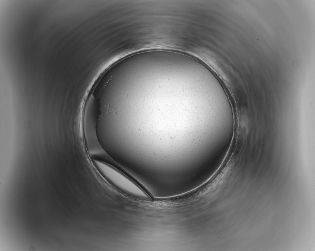 X0000093421246200710260952