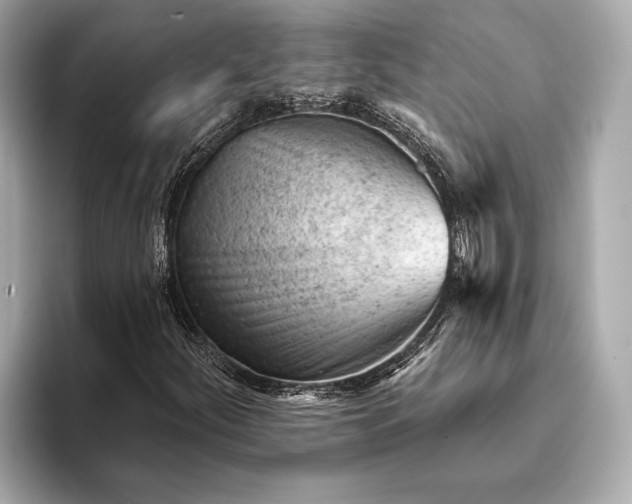 X0000093421252200710260951