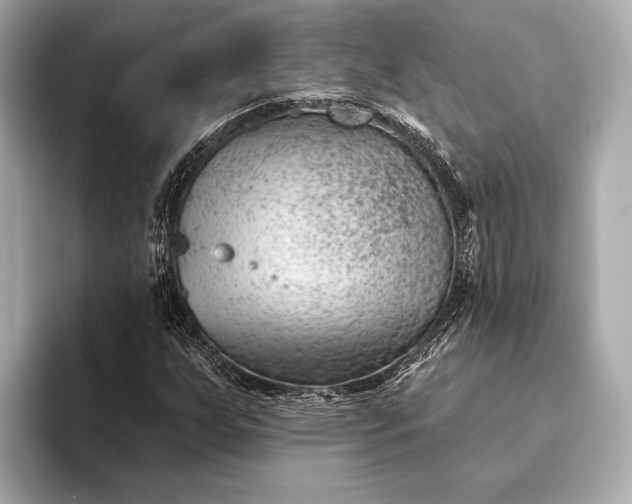 X0000093421255200710260951