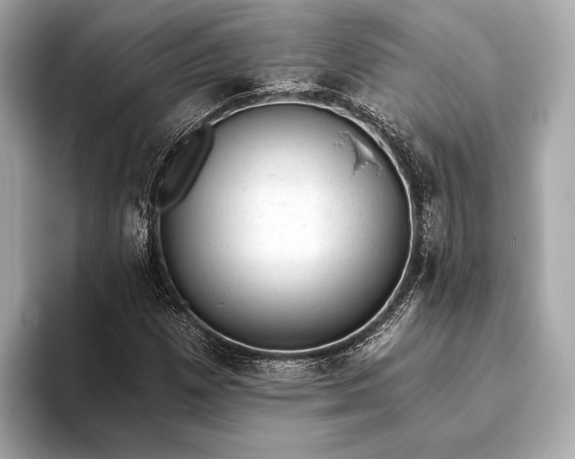 X0000093421257200710260951