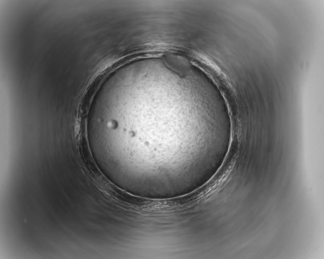 X0000093421259200710260951