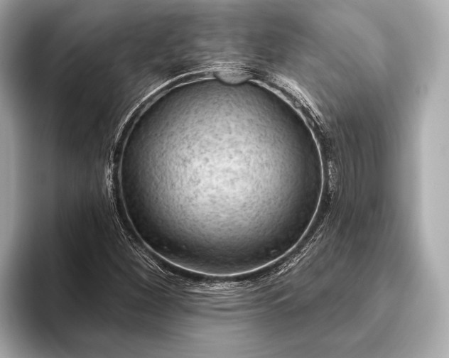 X0000093421260200710260951