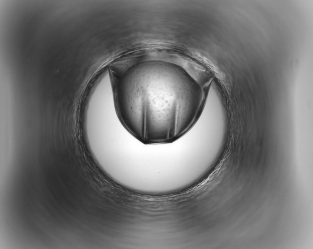 X0000093421261200710260951