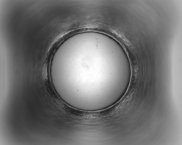 X0000093421262200710260951