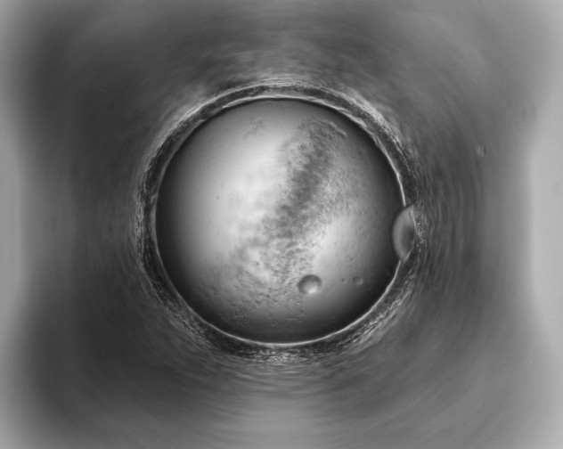 X0000093421263200710260951