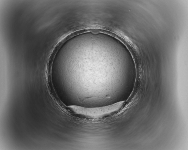 X0000093421264200710260951