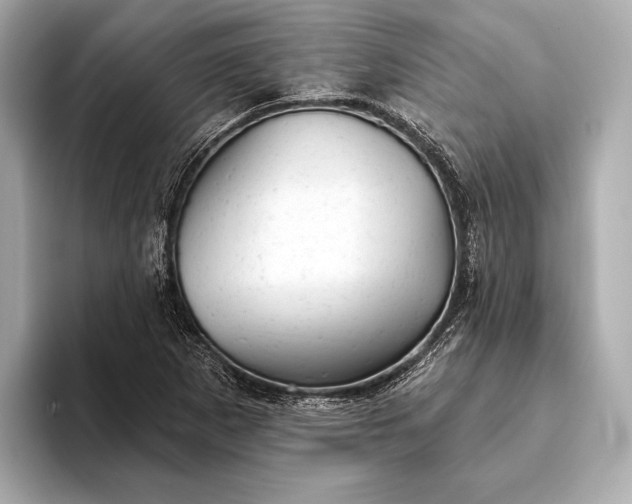 X0000093421265200710260951