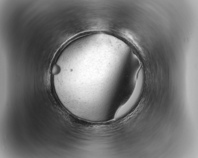 X0000093421268200710260951