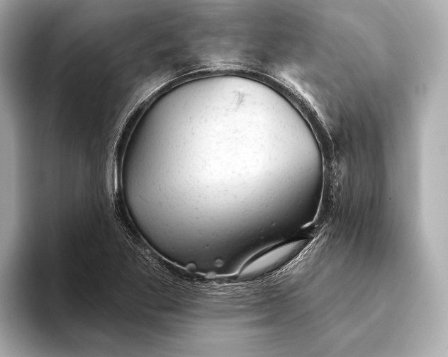 X0000093421269200710260951