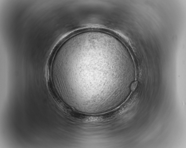 X0000093421271200710260951