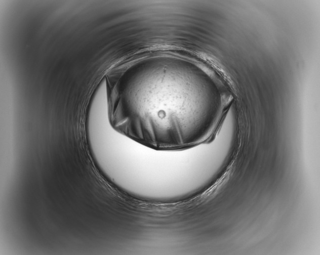 X0000093421273200710260951