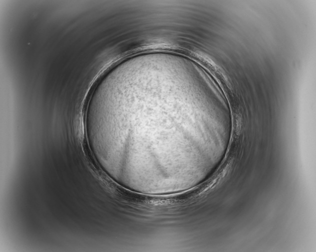 X0000093421274200710260951