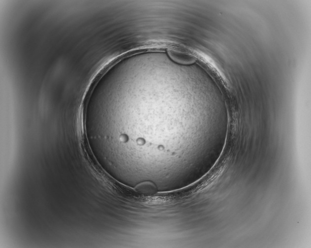 X0000093421275200710260951