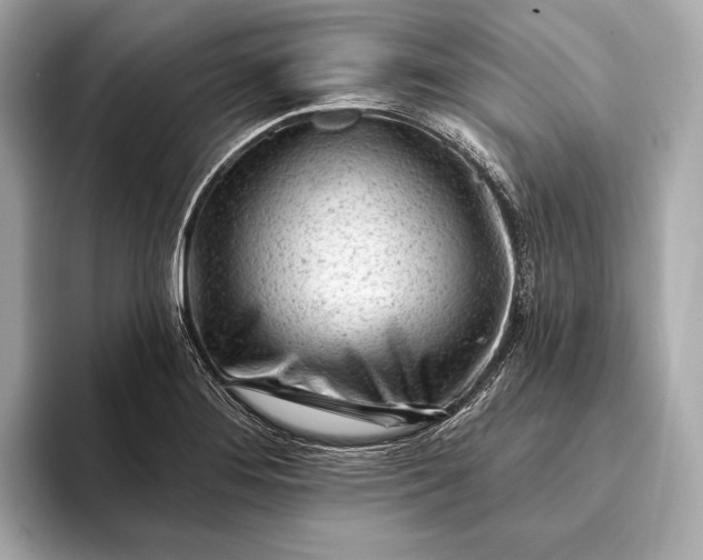 X0000093421276200710260951