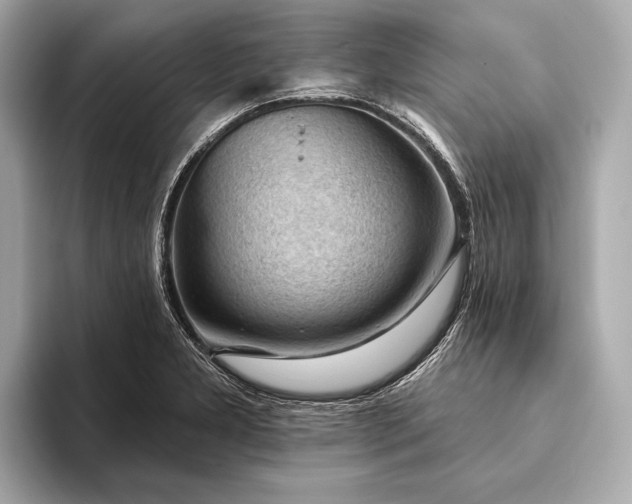 X0000093421277200710260951