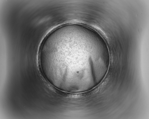 X0000093421278200710260951