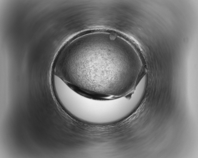 X0000093421279200710260951