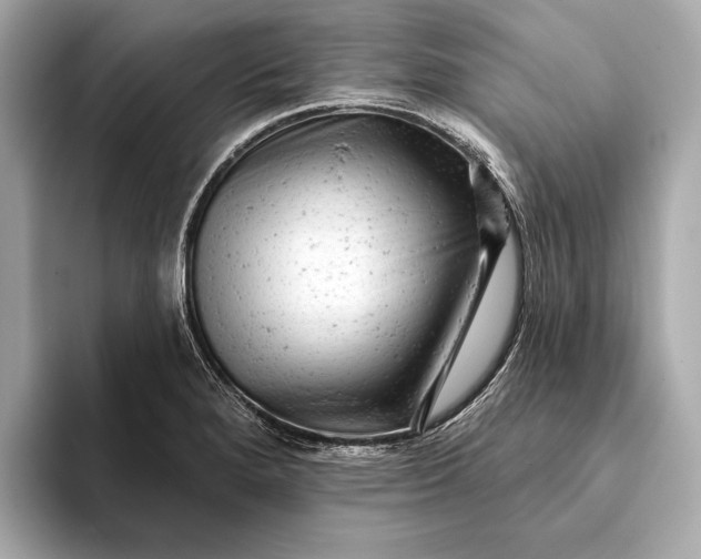 X0000093421280200710260951