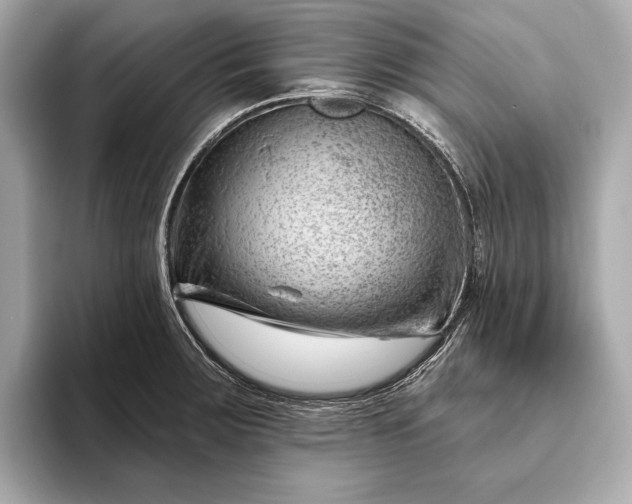 X0000093421283200710260951