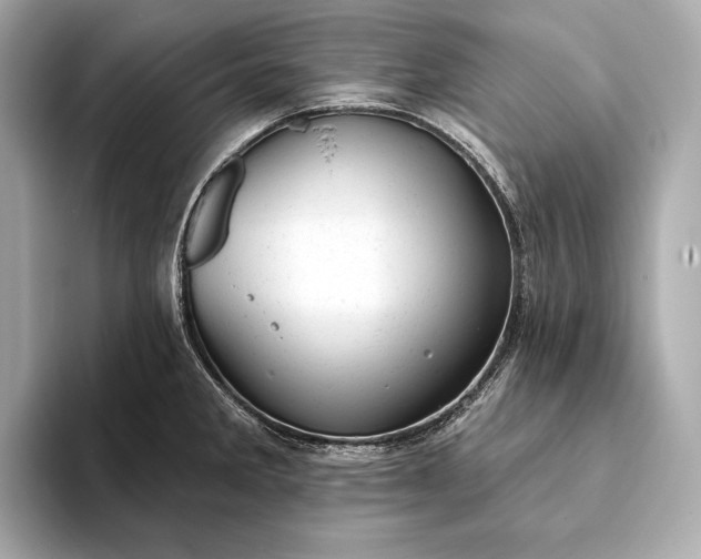 X0000093421285200710260951