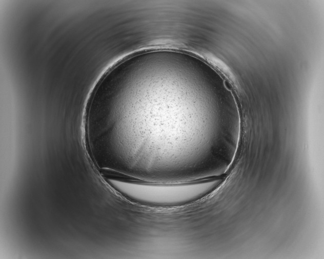 X0000093421288200710260951