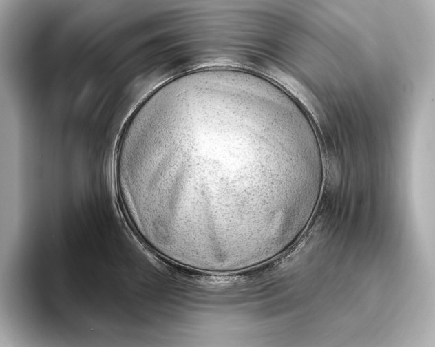 X0000093421290200710260951