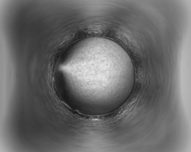 X0000093421297200710260950