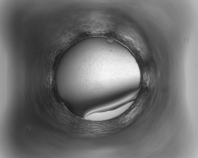 X0000093421300200710260950