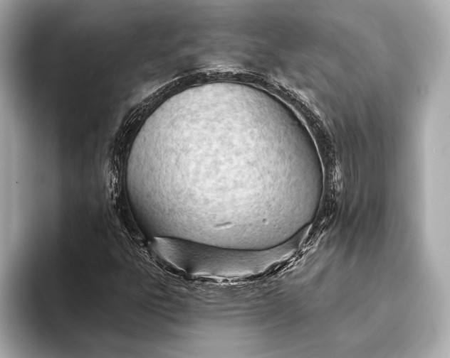 X0000093421303200710260950