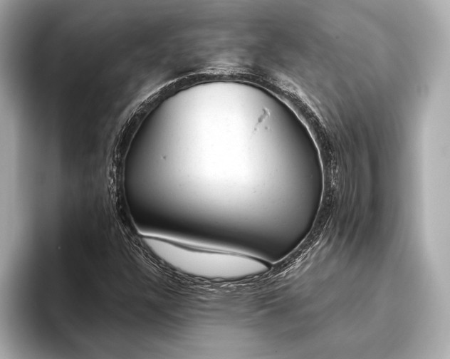 X0000093421304200710260950