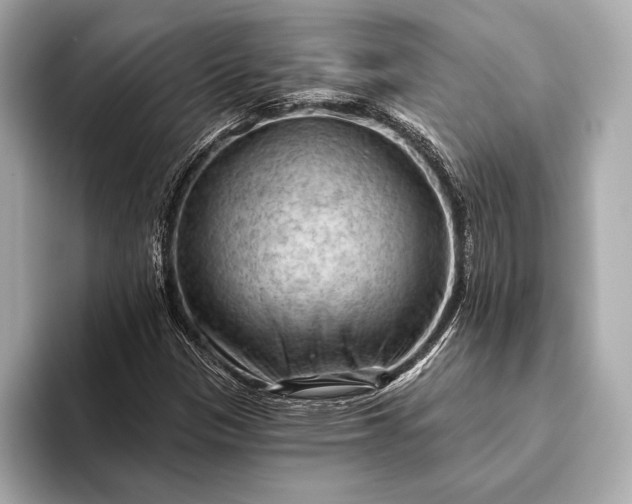 X0000093421305200710260950