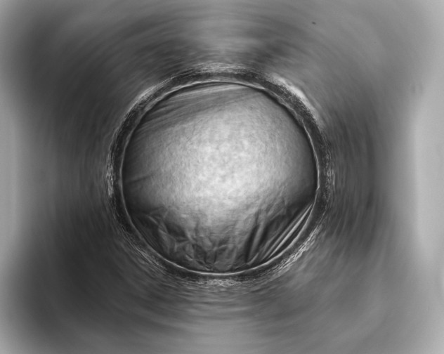 X0000093421306200710260950