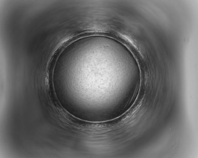 X0000093421307200710260950