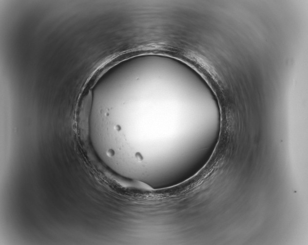 X0000093421308200710260950