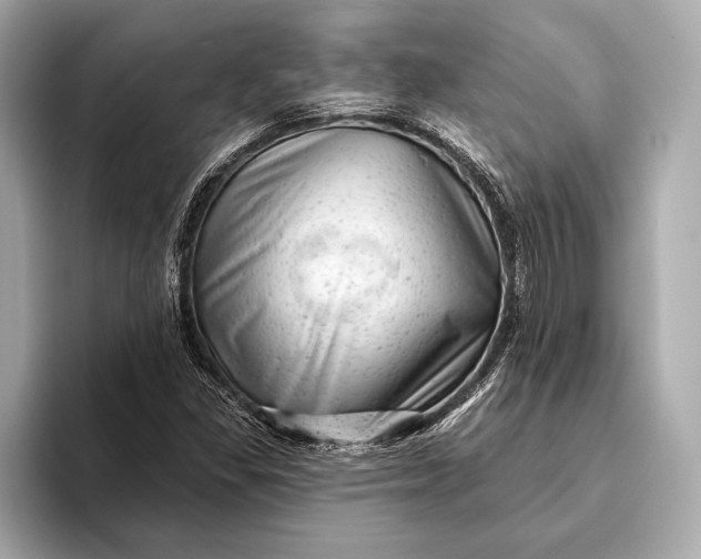 X0000093421309200710260950