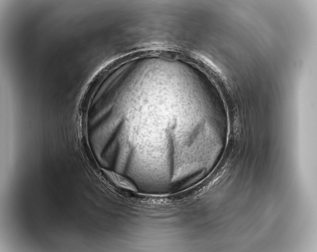 X0000093421310200710260950