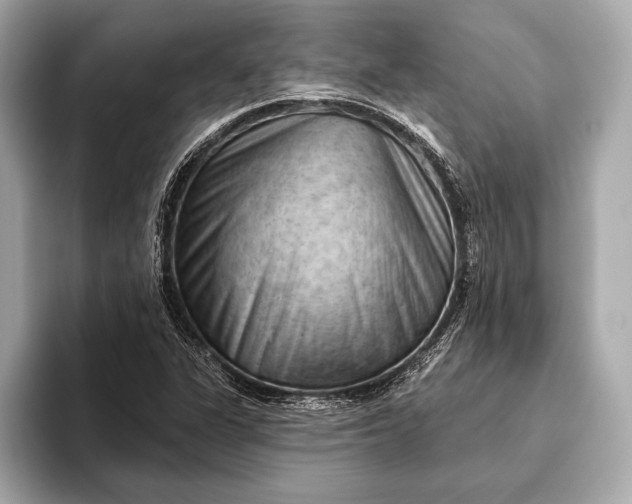 X0000093421311200710260950