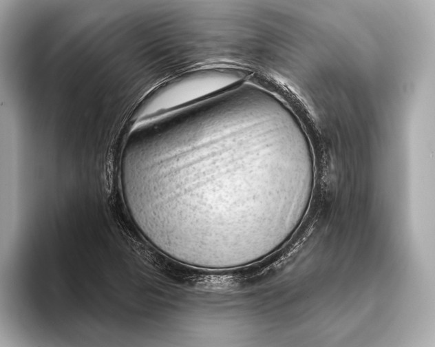 X0000093421313200710260950