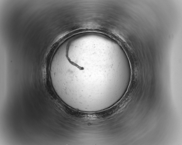 X0000093421315200710260950