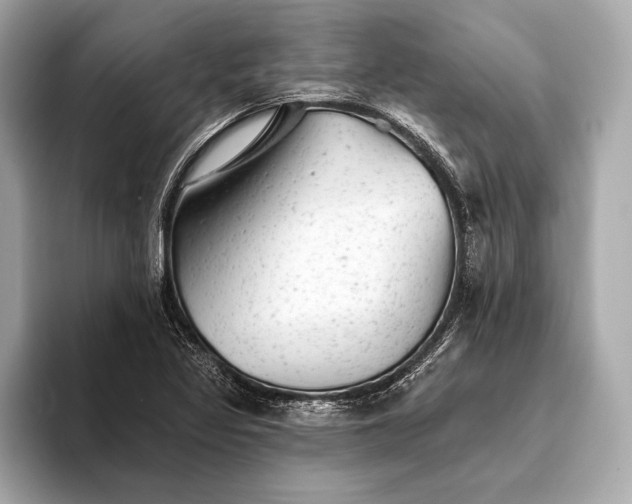 X0000093421317200710260950