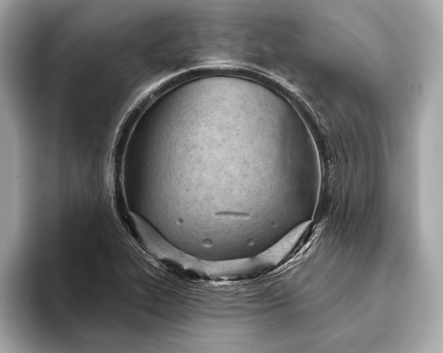 X0000093421319200710260950