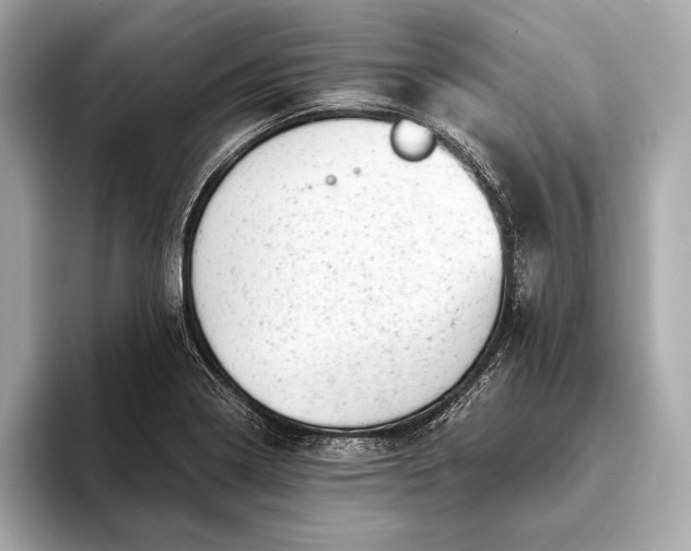 X0000093421322200710260950