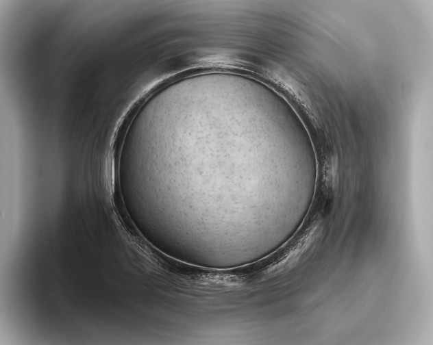 X0000093421323200710260950