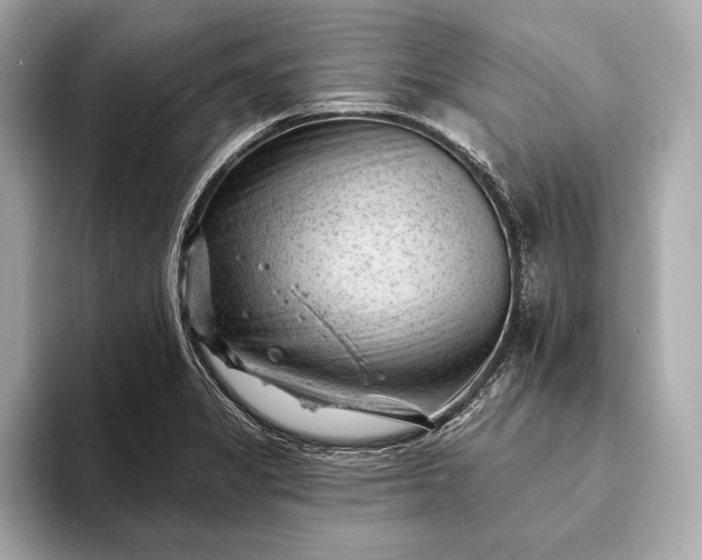 X0000093421325200710260950