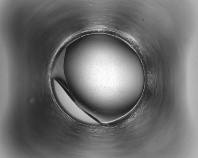 X0000093421326200710260950