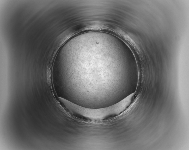 X0000093421329200710260950