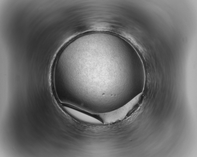 X0000093421331200710260950