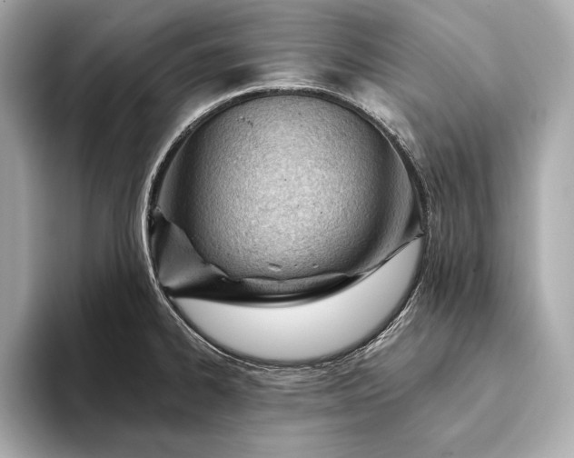 X0000093421334200710260950